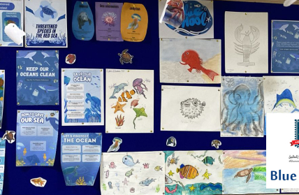 المدارس الزرقاء